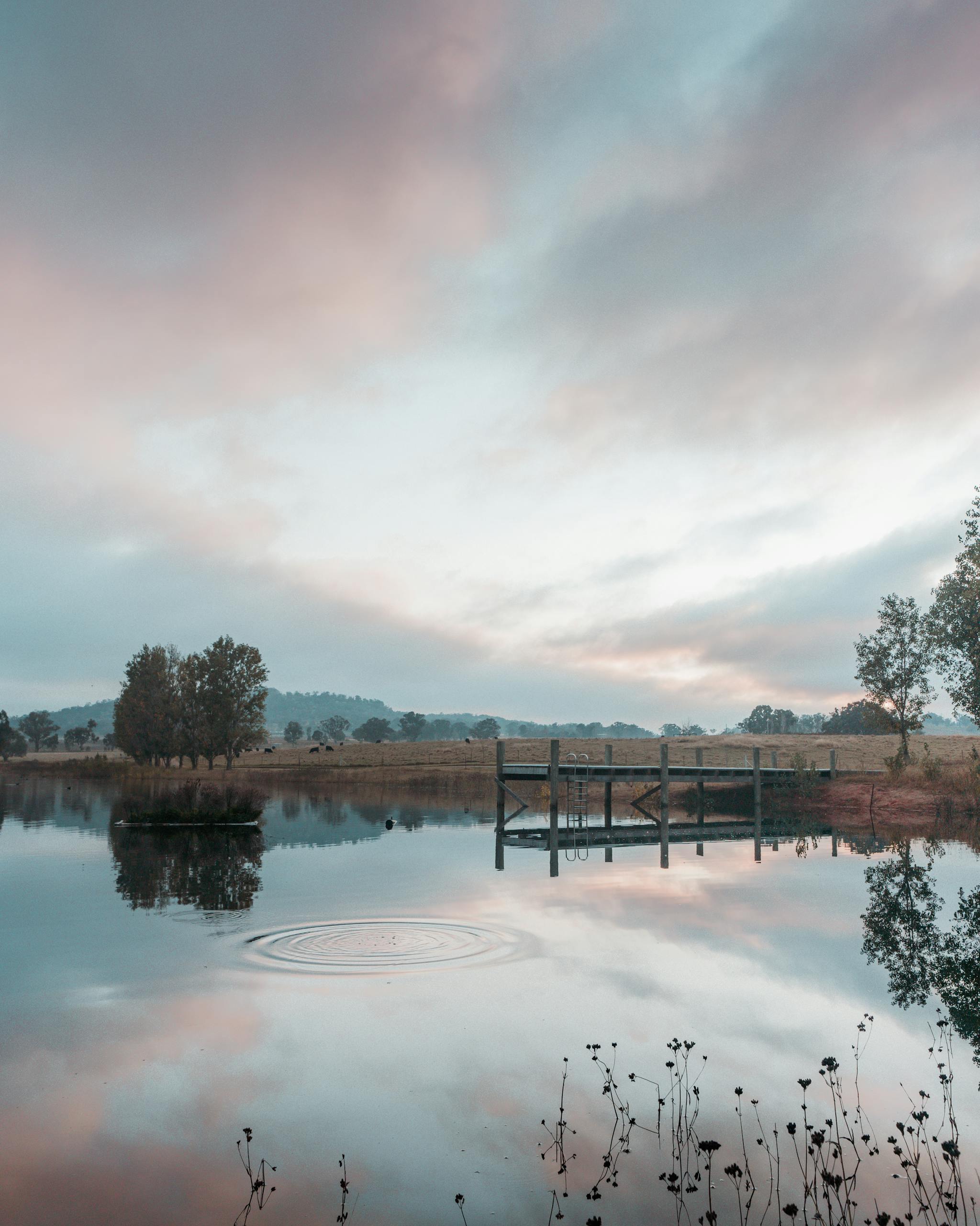 Calm lake with pier in scenic countryside area